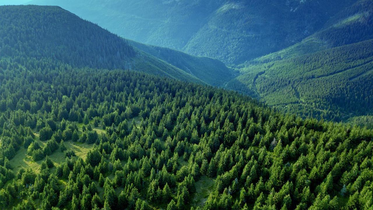 Bouda Klinovka Otel Špindlerŭv Mlýn Dış mekan fotoğraf