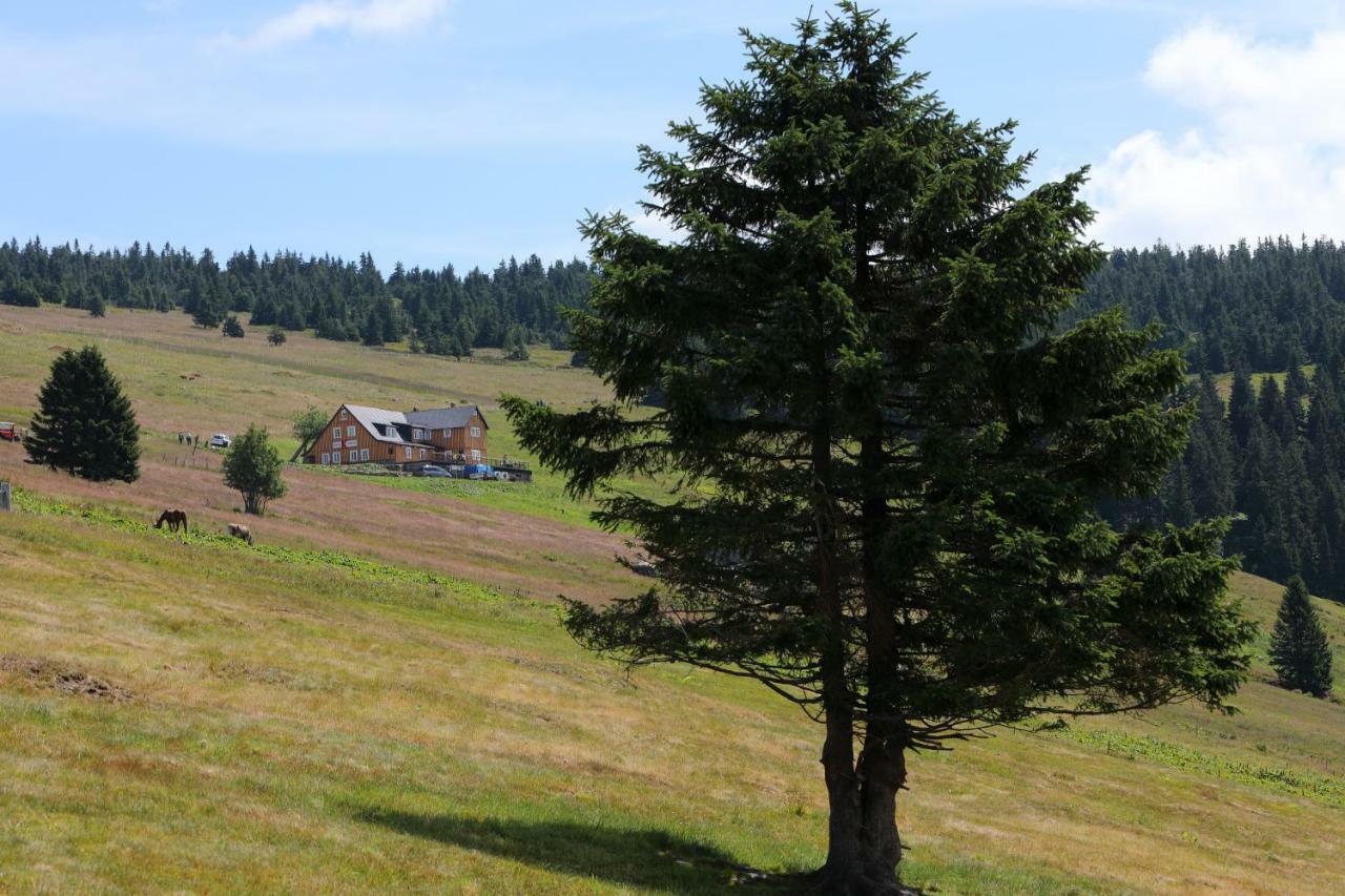 Bouda Klinovka Otel Špindlerŭv Mlýn Dış mekan fotoğraf