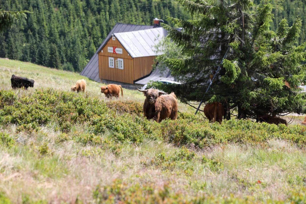 Bouda Klinovka Otel Špindlerŭv Mlýn Dış mekan fotoğraf