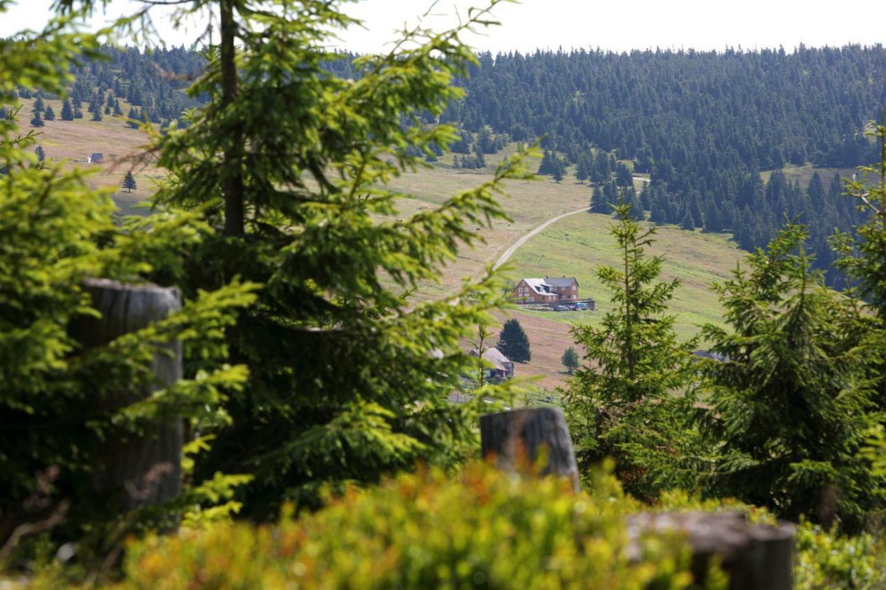 Bouda Klinovka Otel Špindlerŭv Mlýn Dış mekan fotoğraf