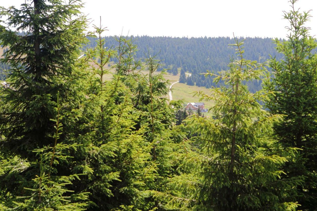 Bouda Klinovka Otel Špindlerŭv Mlýn Dış mekan fotoğraf